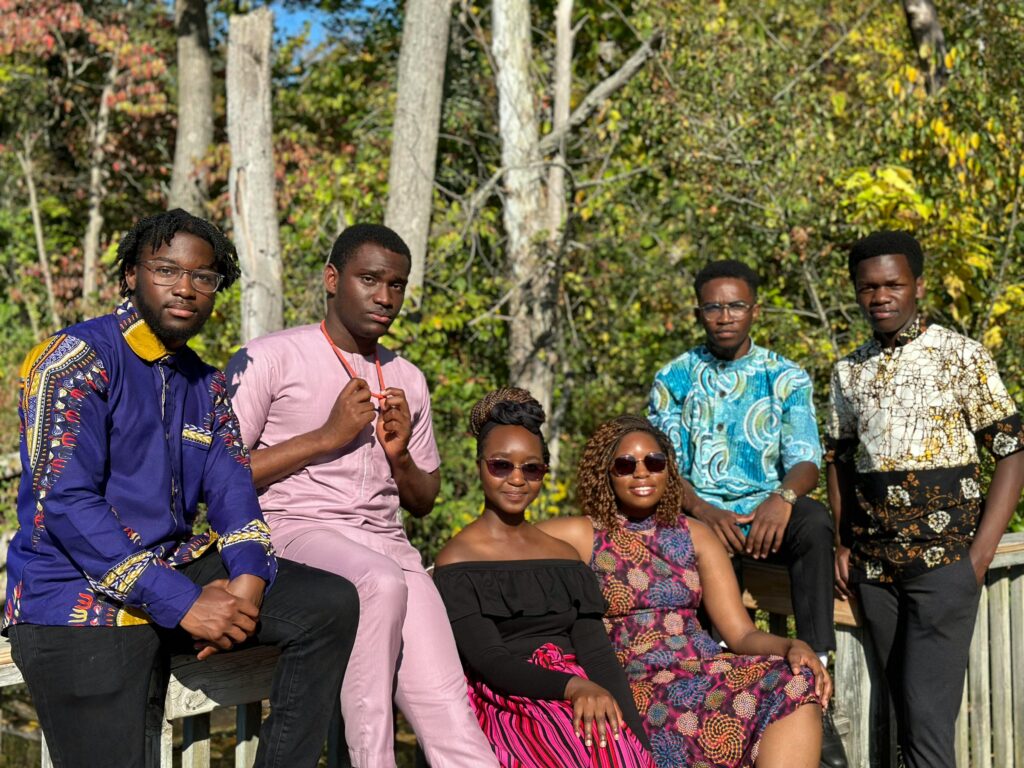 A group of Africans in the diaspora - invest in Nigeria