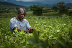 A man tending to his vegetables at the farm - profitable agricultural businesses