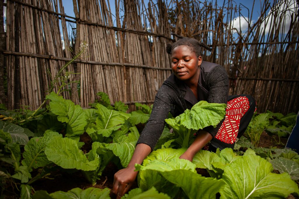 A woman farming - profitable agricultural businesses