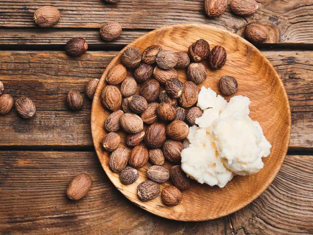 Shea butter - export cocoa and shea butter 